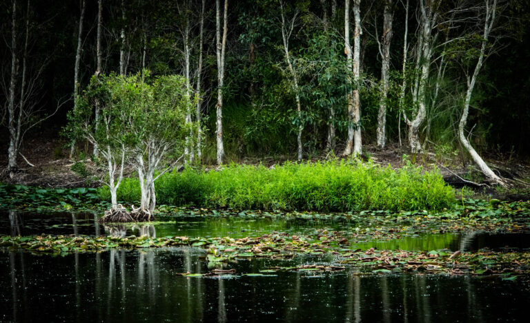 John North - Lakeside-Scape